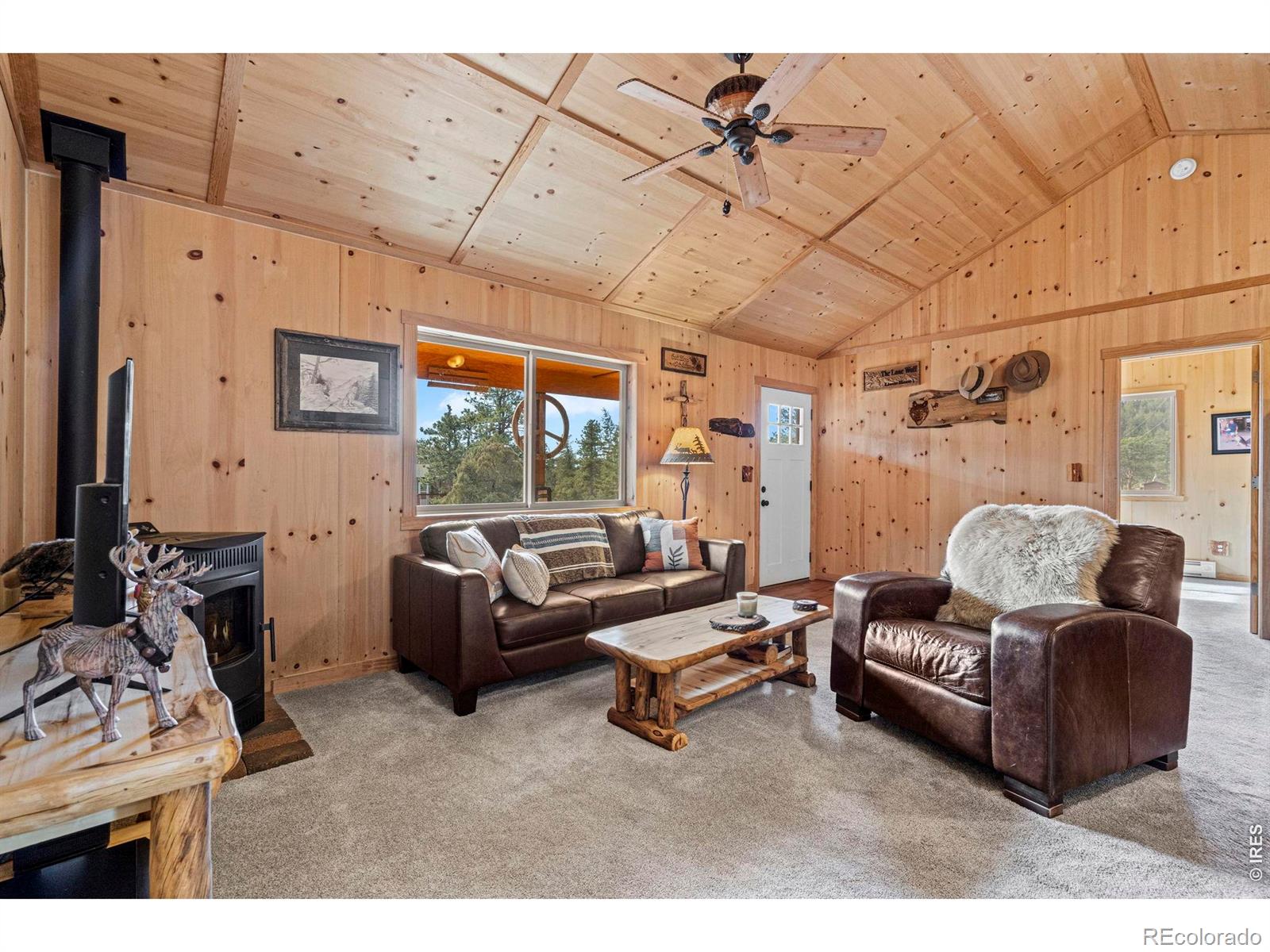 MLS Image #7 for 151  mount massive drive,livermore, Colorado