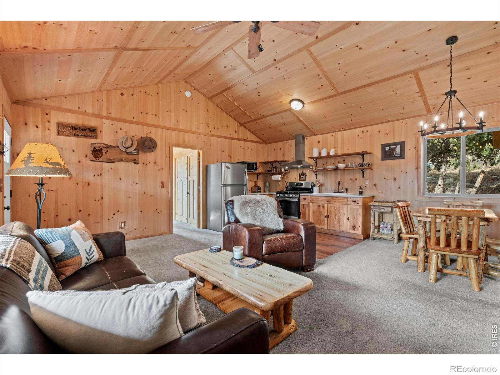 MLS Image #8 for 151  mount massive drive,livermore, Colorado