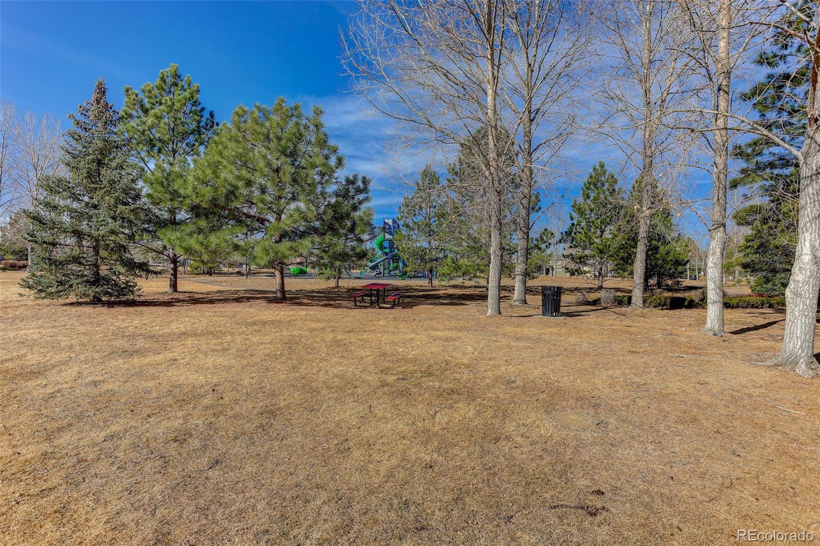 MLS Image #45 for 12972  banyon circle,parker, Colorado
