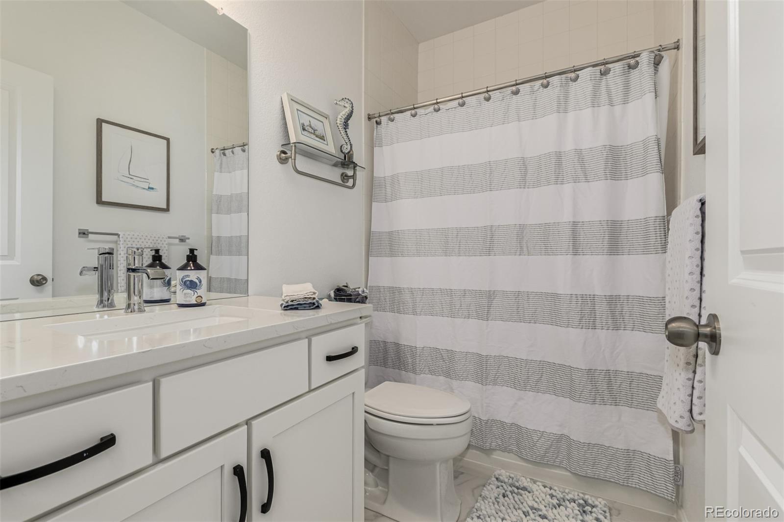 MLS Image #17 for 11853  zebra grass way,parker, Colorado