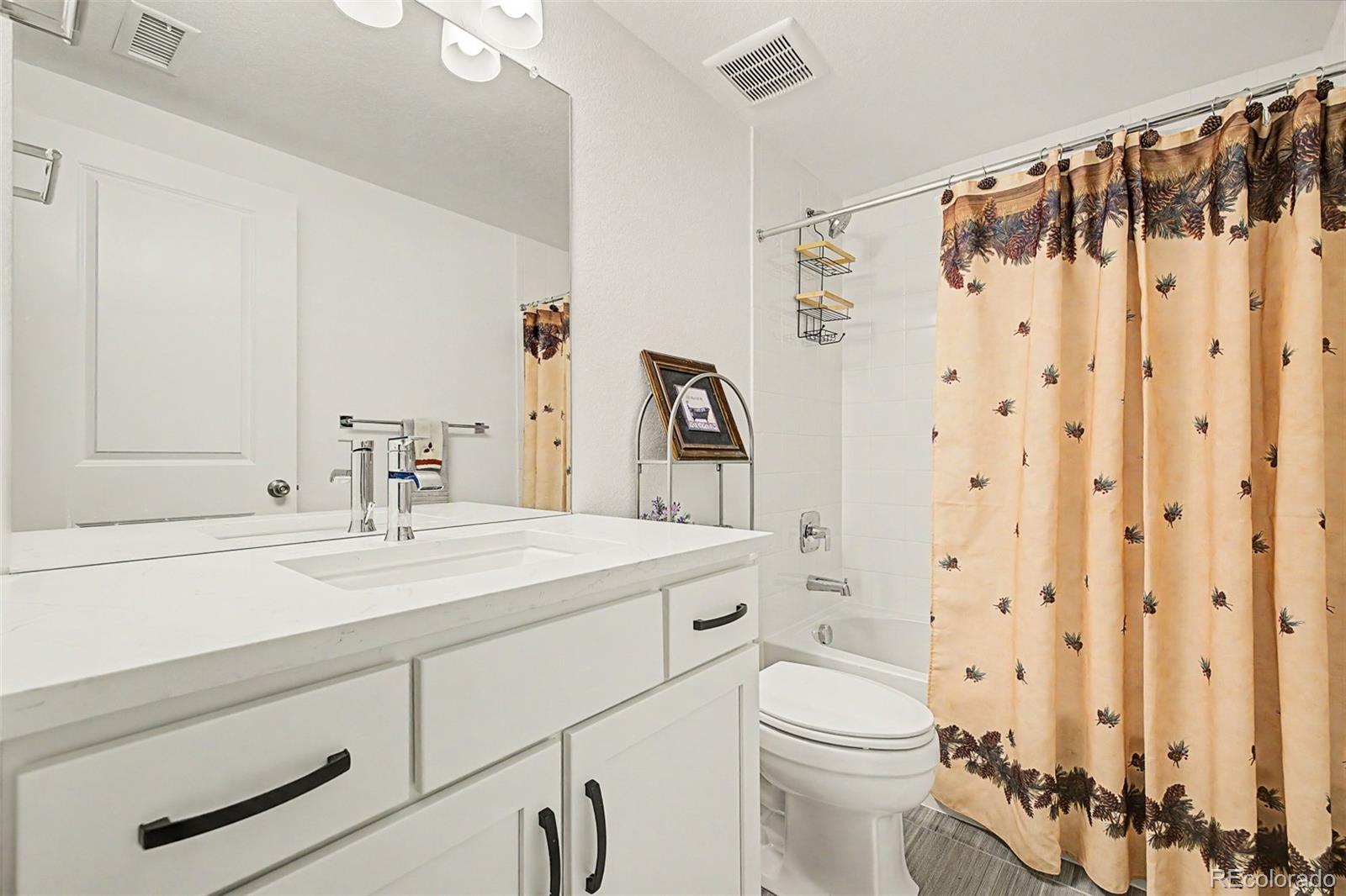 MLS Image #26 for 11853  zebra grass way,parker, Colorado