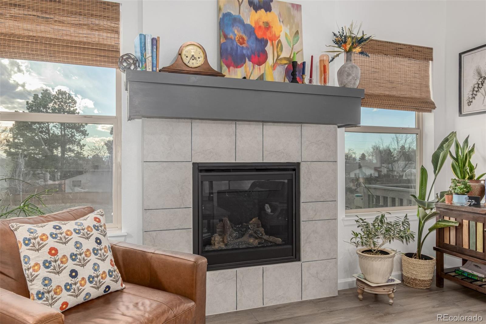 MLS Image #6 for 11853  zebra grass way,parker, Colorado