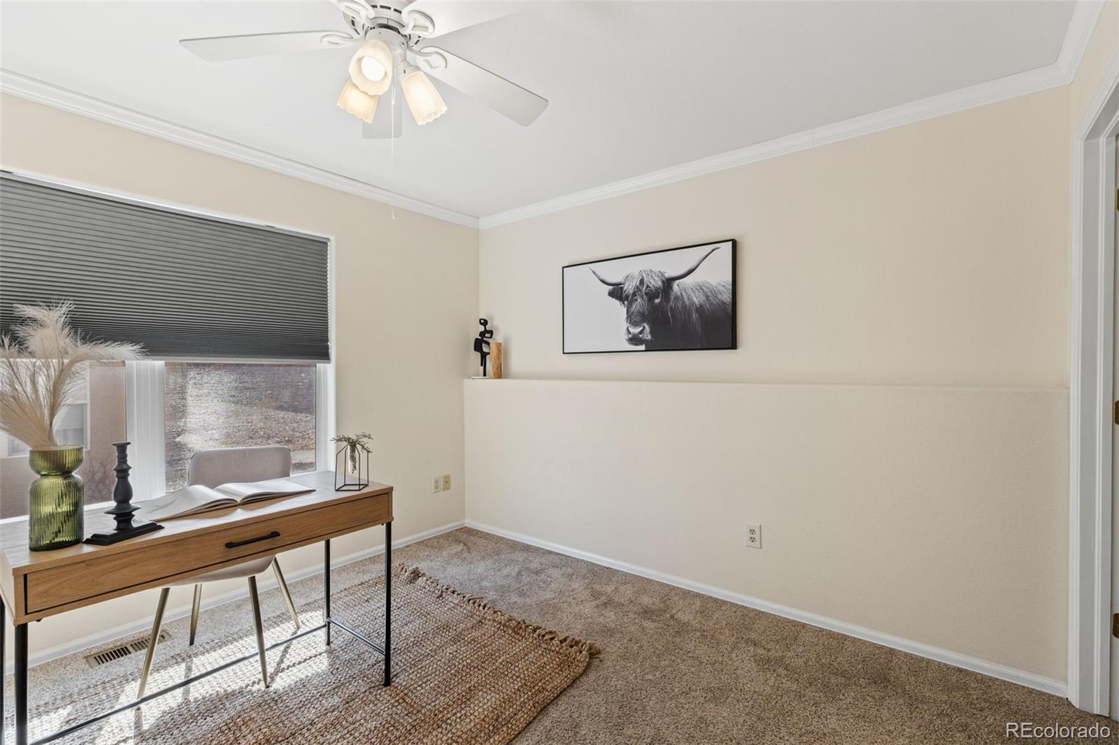 MLS Image #20 for 6926  yellowpine drive,colorado springs, Colorado