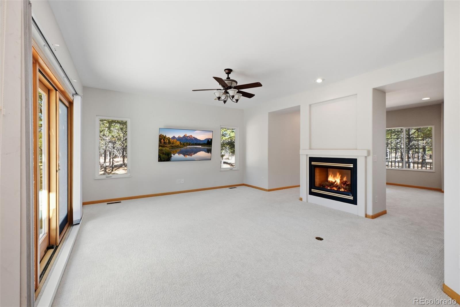 MLS Image #15 for 8985 s blue sage circle,colorado springs, Colorado