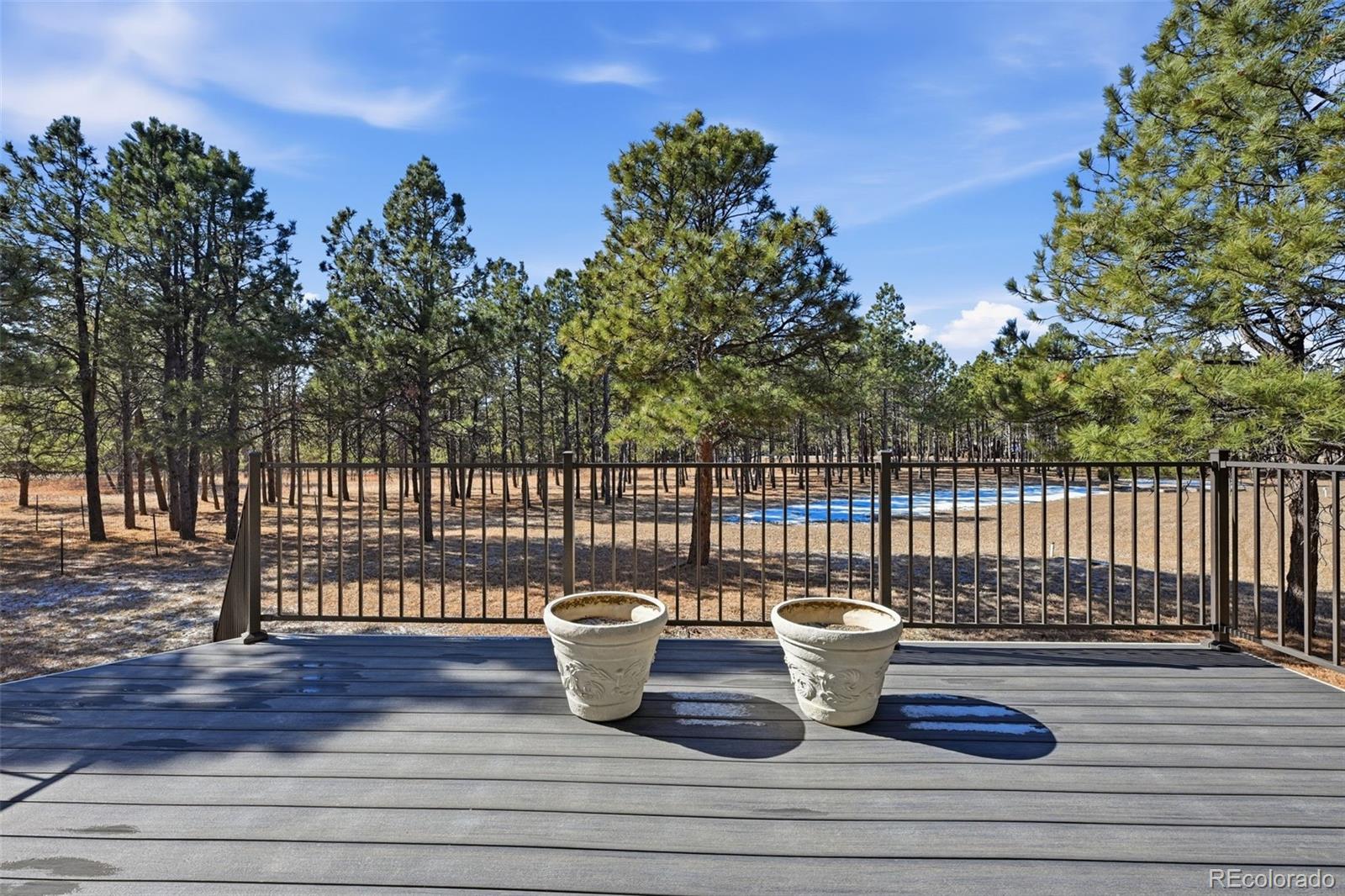 MLS Image #17 for 8985 s blue sage circle,colorado springs, Colorado