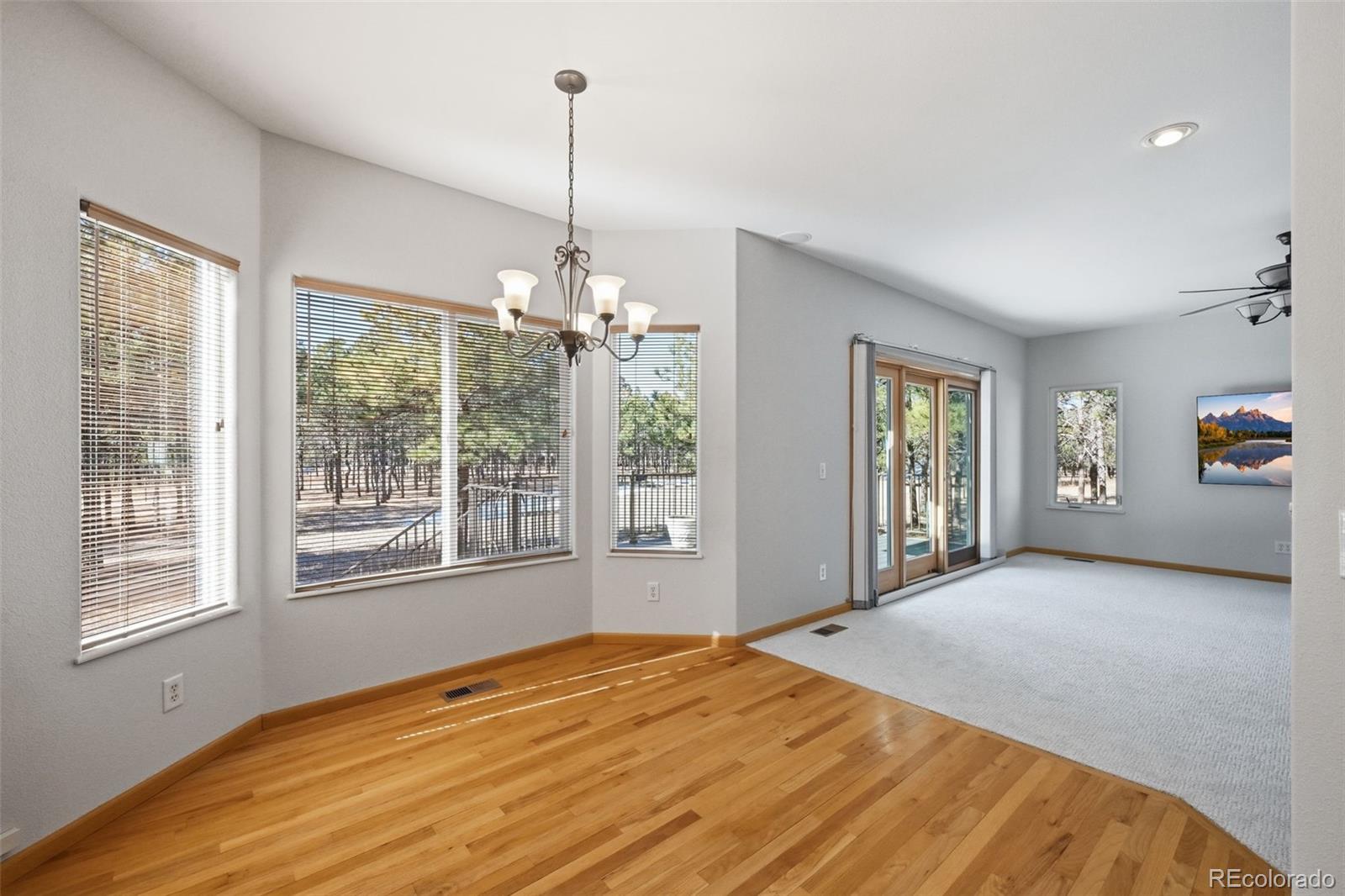 MLS Image #19 for 8985 s blue sage circle,colorado springs, Colorado