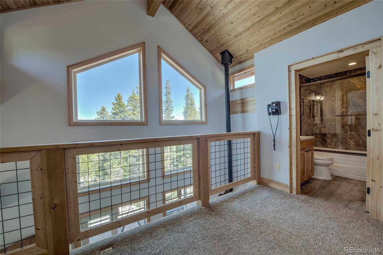 MLS Image #23 for 258  gold trail cutoff ,fairplay, Colorado