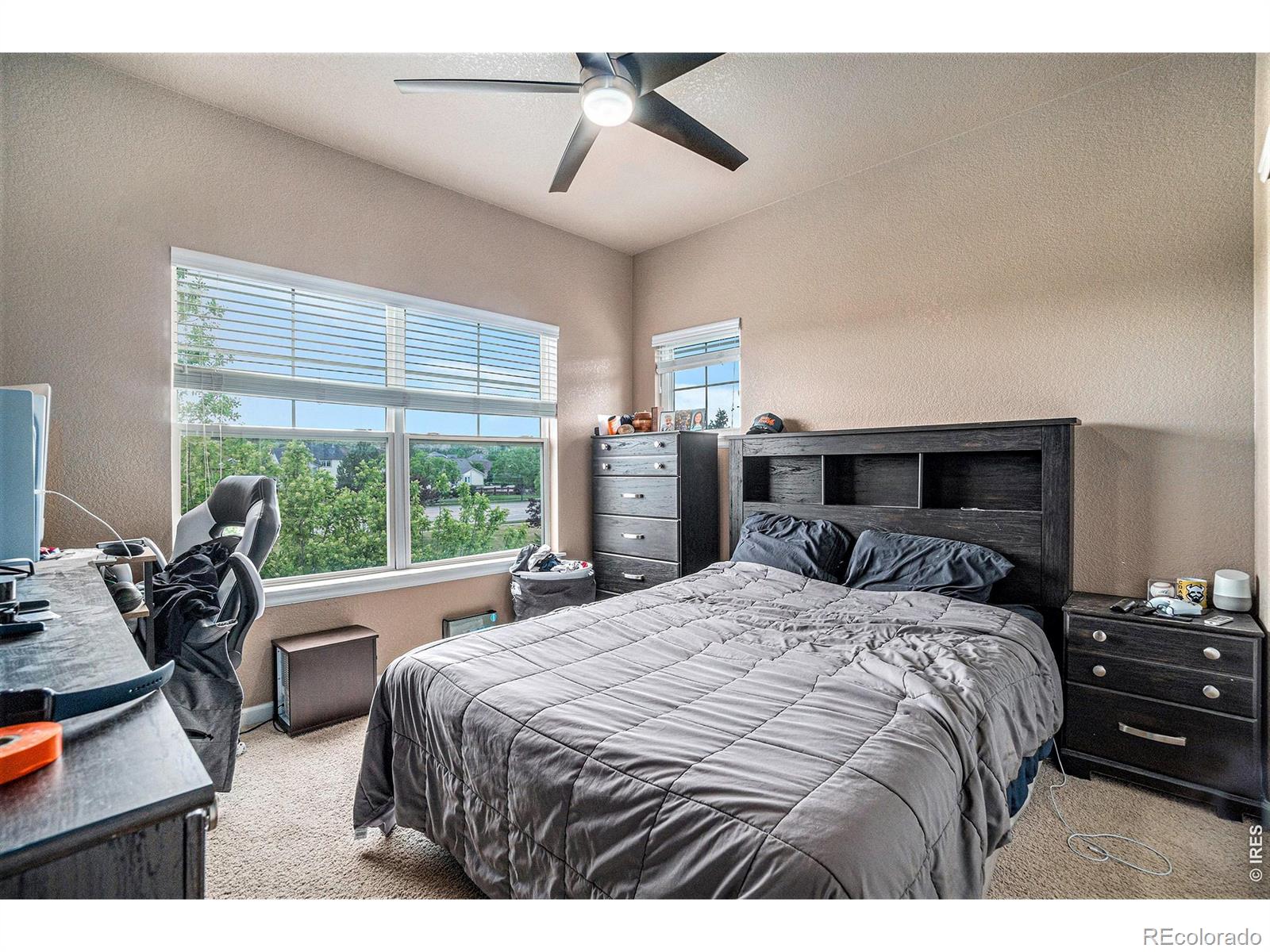 MLS Image #7 for 2177  cape hatteras drive,windsor, Colorado
