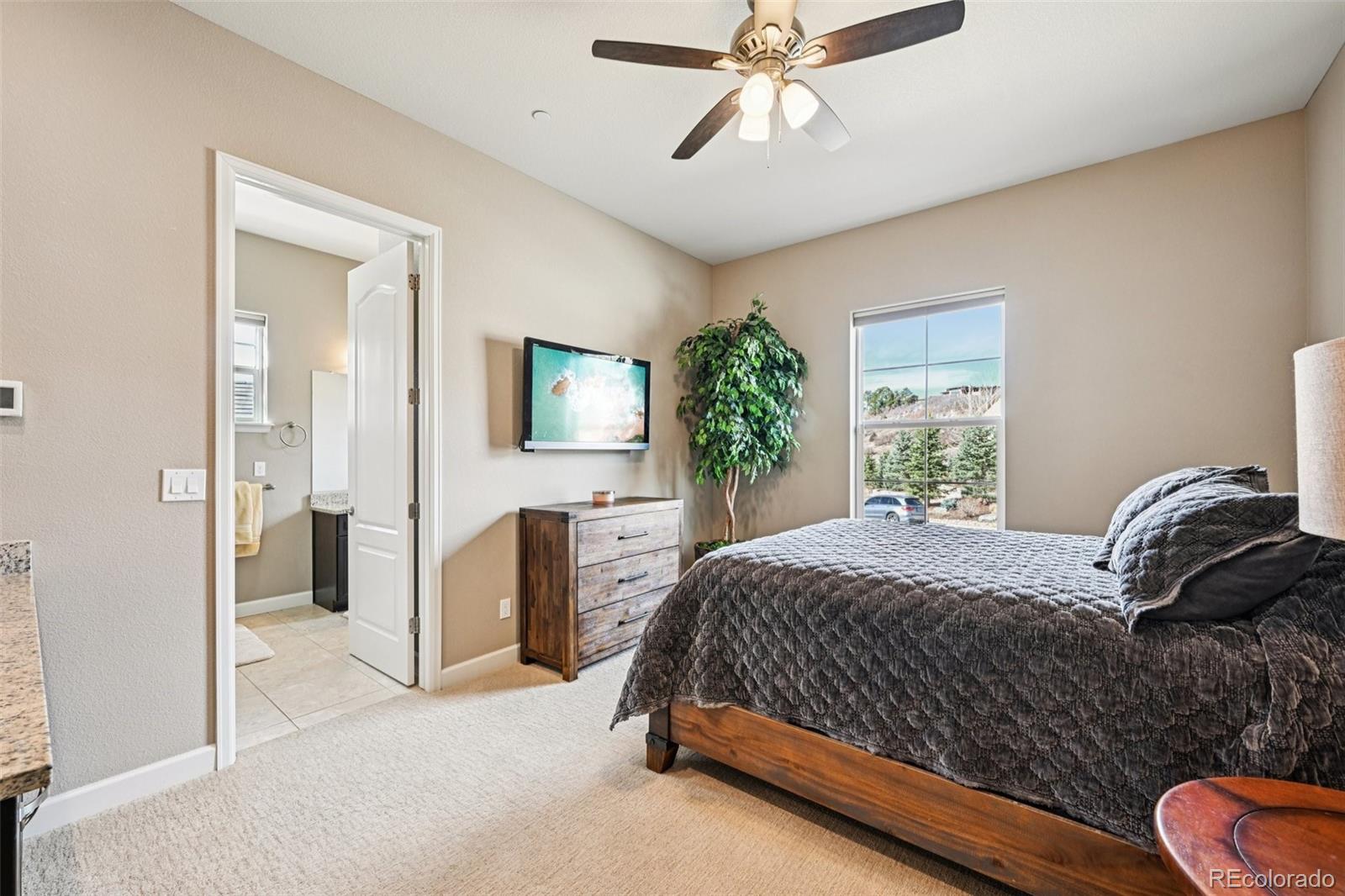 MLS Image #12 for 5432  water oak circle,castle rock, Colorado