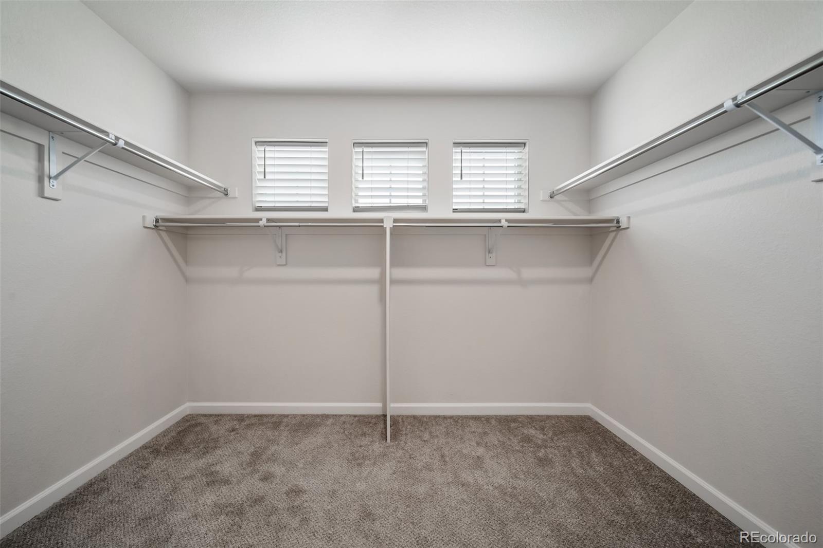 MLS Image #29 for 12523  mcgarrity avenue,parker, Colorado