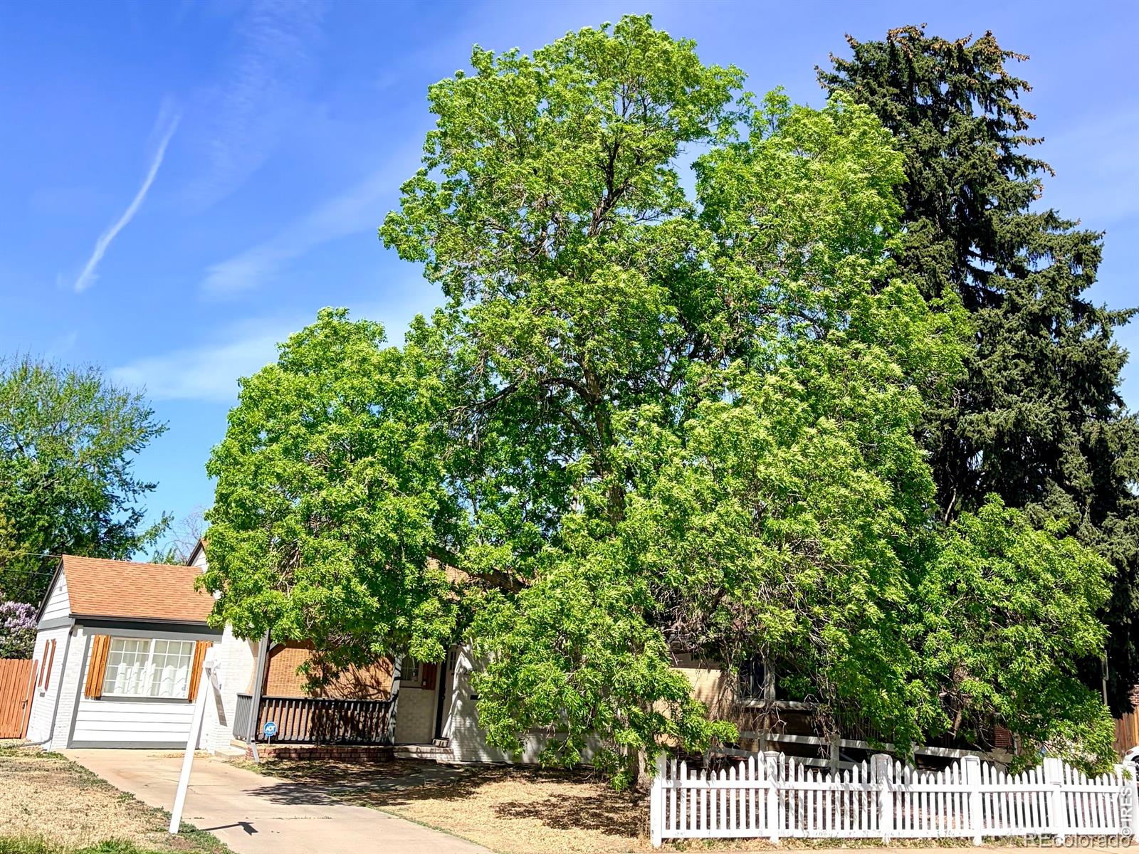 MLS Image #37 for 2201  pontiac street,denver, Colorado