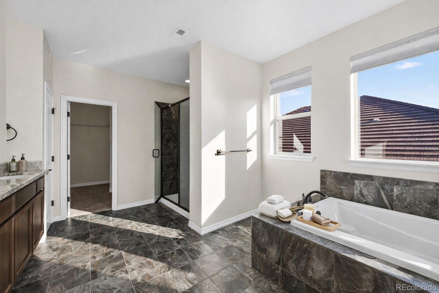 MLS Image #14 for 16017  la plata peak place,broomfield, Colorado