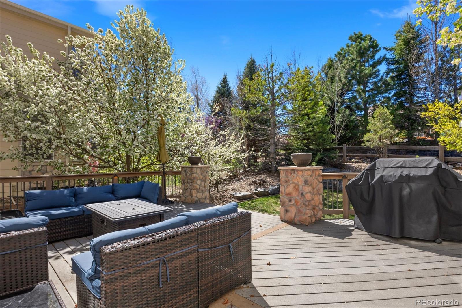 MLS Image #38 for 12370  tapadero way,castle pines, Colorado