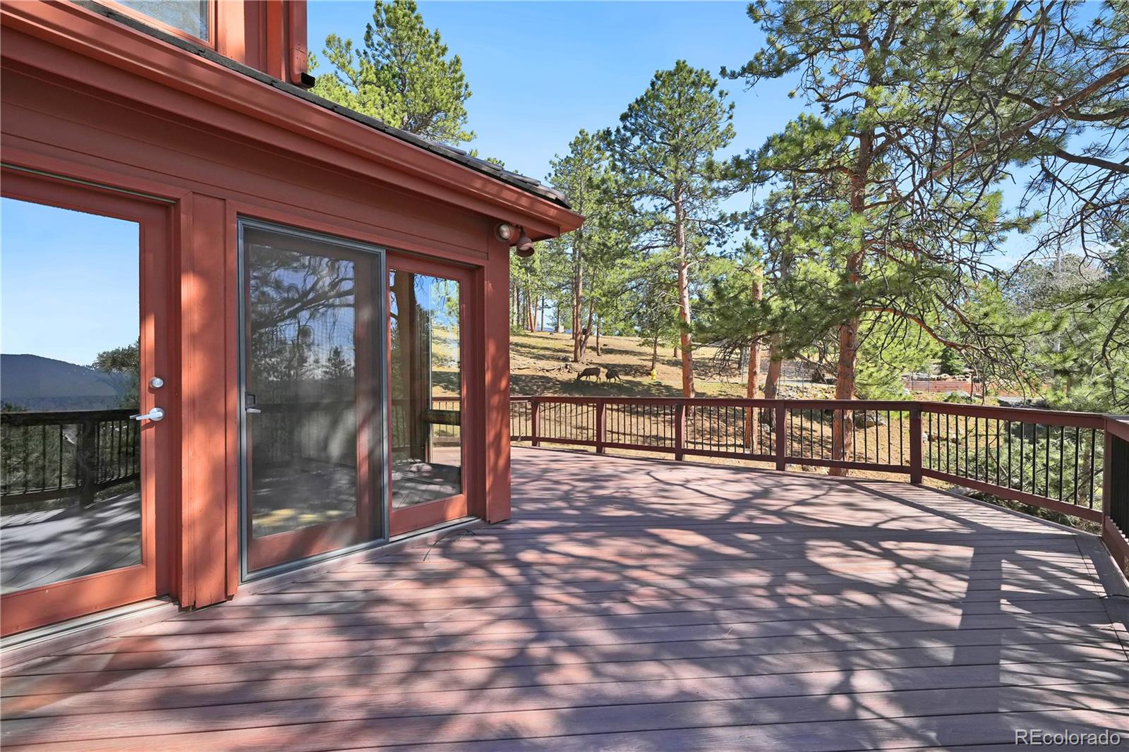 MLS Image #11 for 2360  juniper court,golden, Colorado