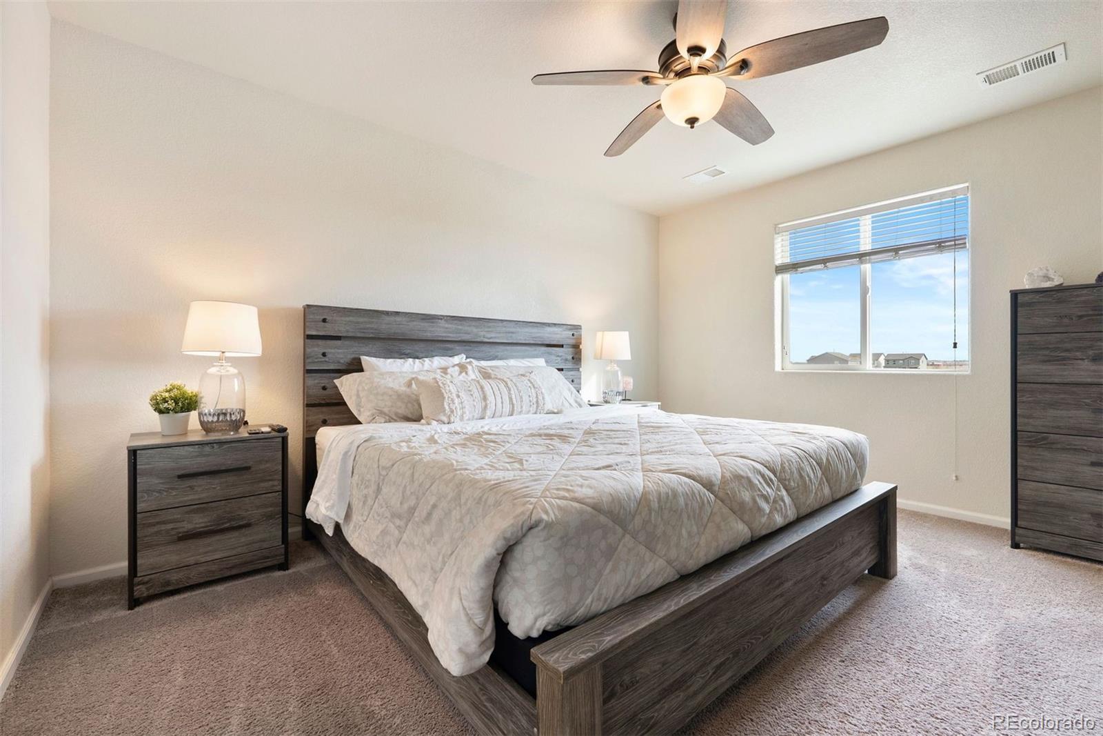 MLS Image #12 for 47401  lily avenue,bennett, Colorado