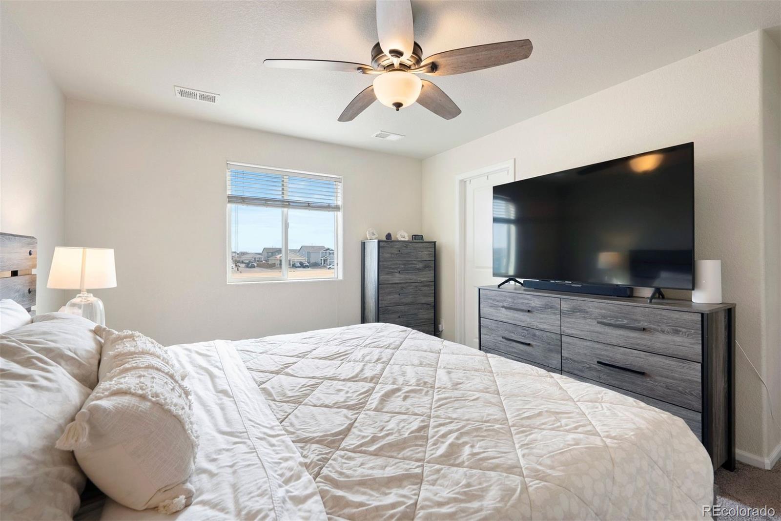 MLS Image #13 for 47401  lily avenue,bennett, Colorado