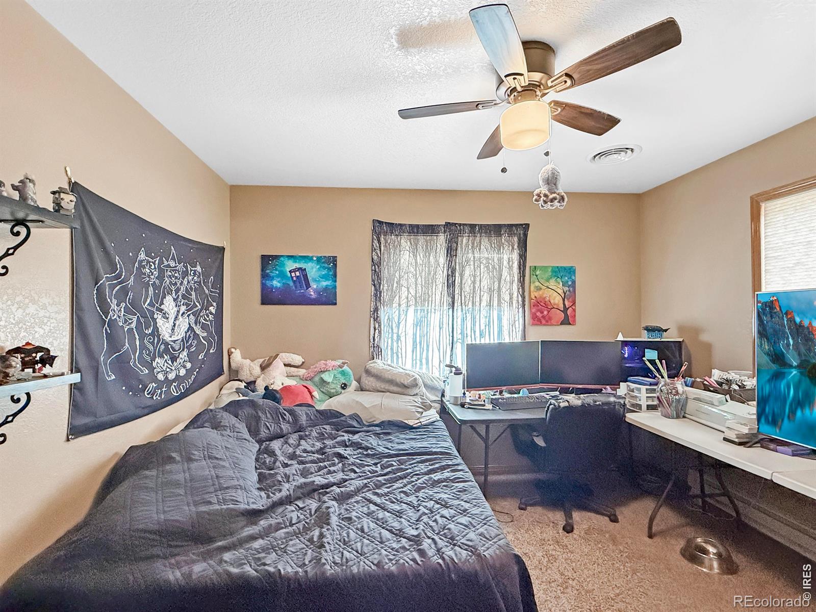 MLS Image #22 for 502  state street,sterling, Colorado