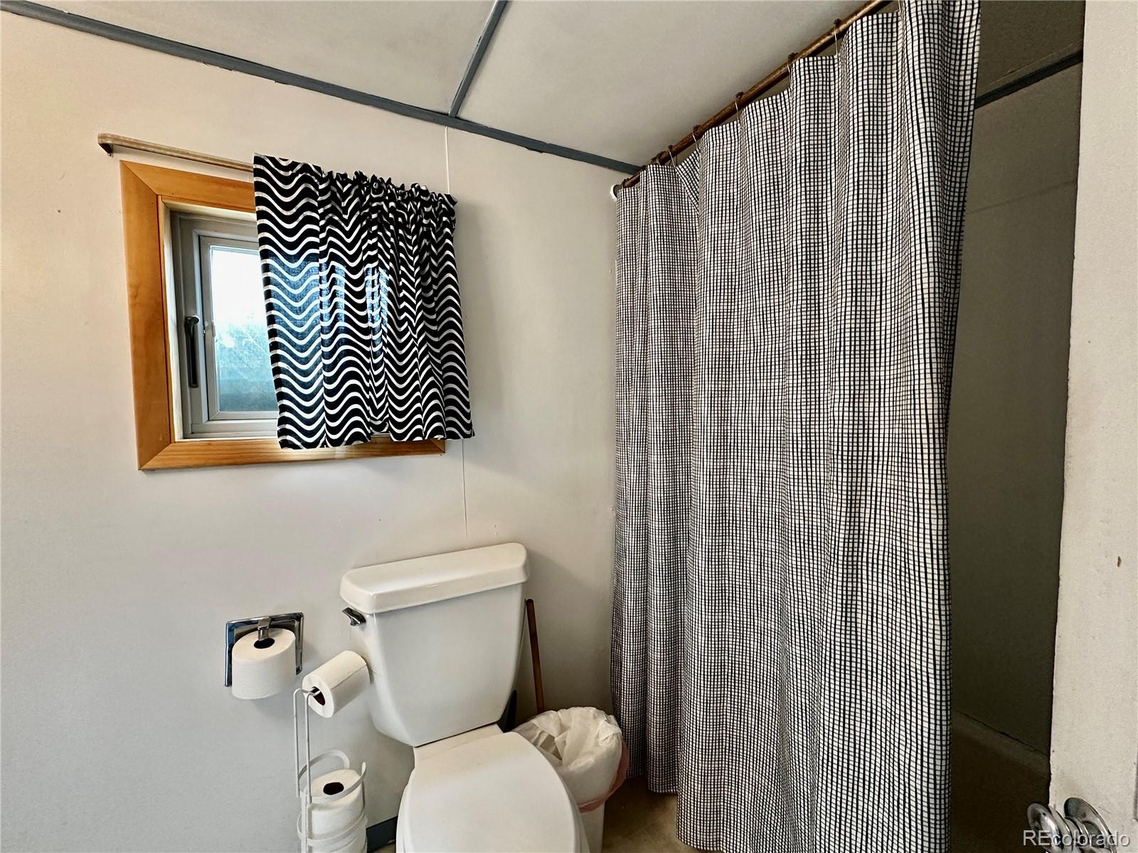 MLS Image #10 for 413 w 3rd street,leadville, Colorado