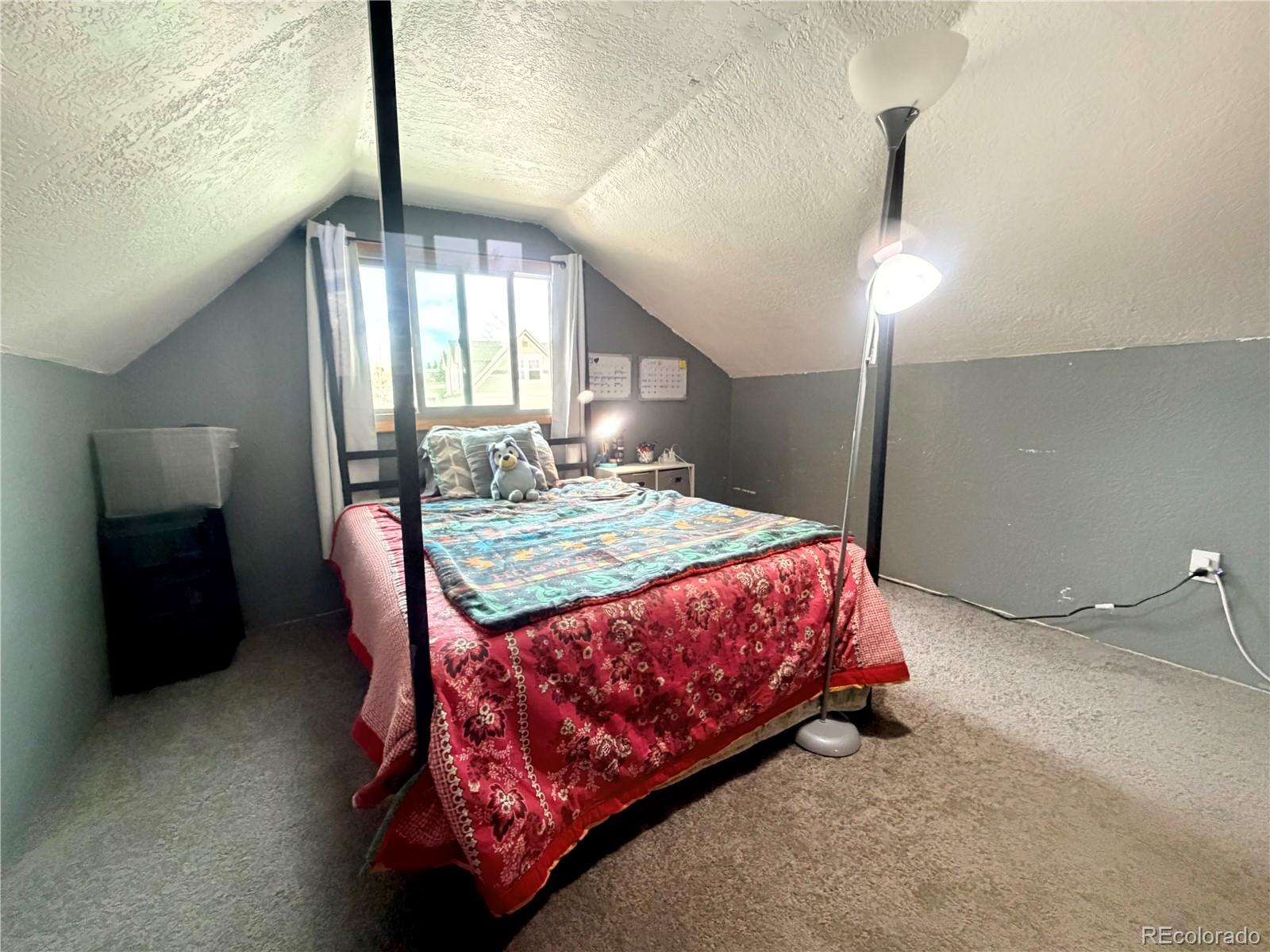 MLS Image #22 for 413 w 3rd street,leadville, Colorado
