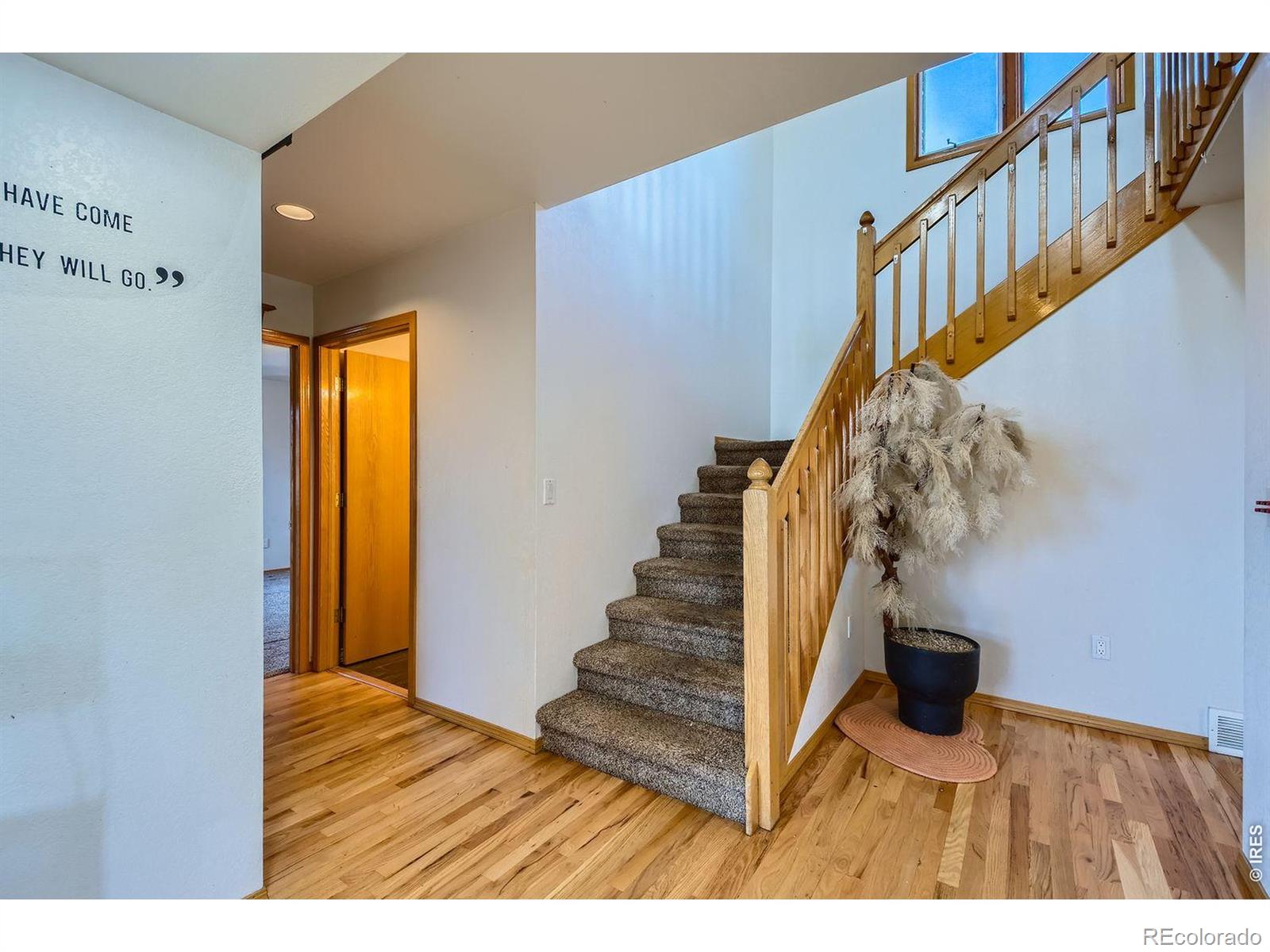 MLS Image #30 for 512  carpenter road,fort collins, Colorado