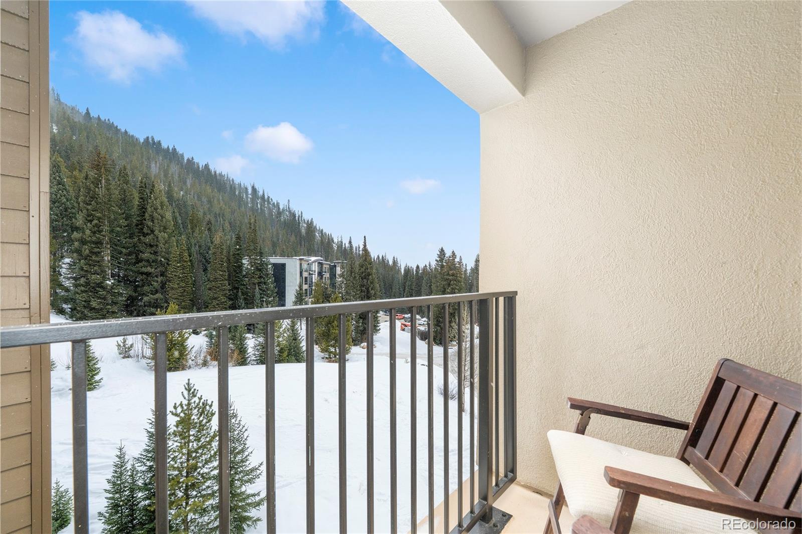 MLS Image #14 for 310  iron horse way,winter park, Colorado