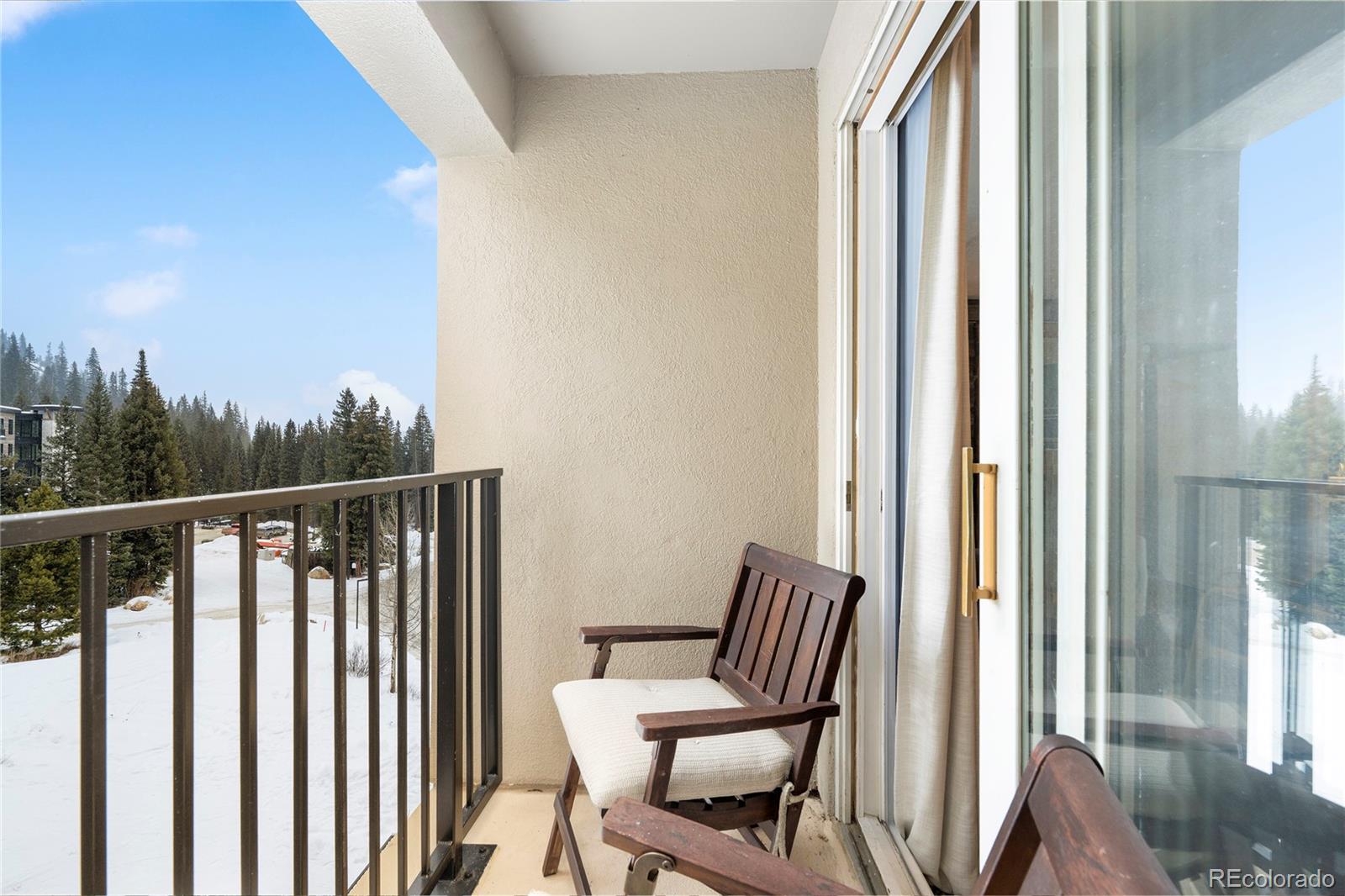MLS Image #15 for 310  iron horse way,winter park, Colorado