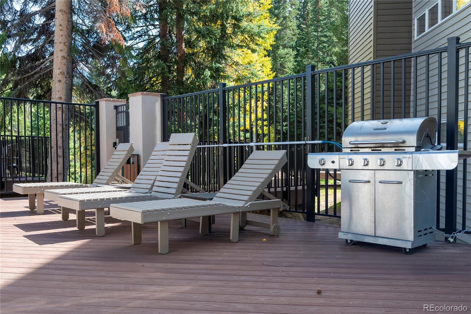 MLS Image #28 for 310  iron horse way,winter park, Colorado