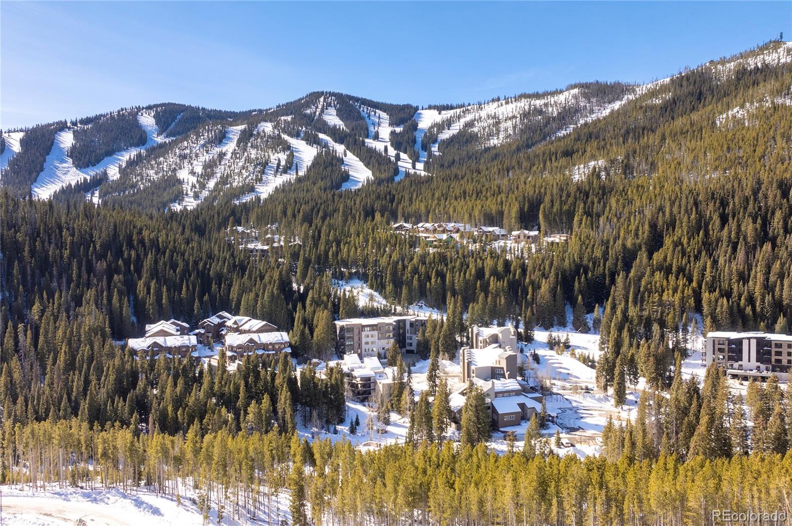 MLS Image #36 for 310  iron horse way,winter park, Colorado