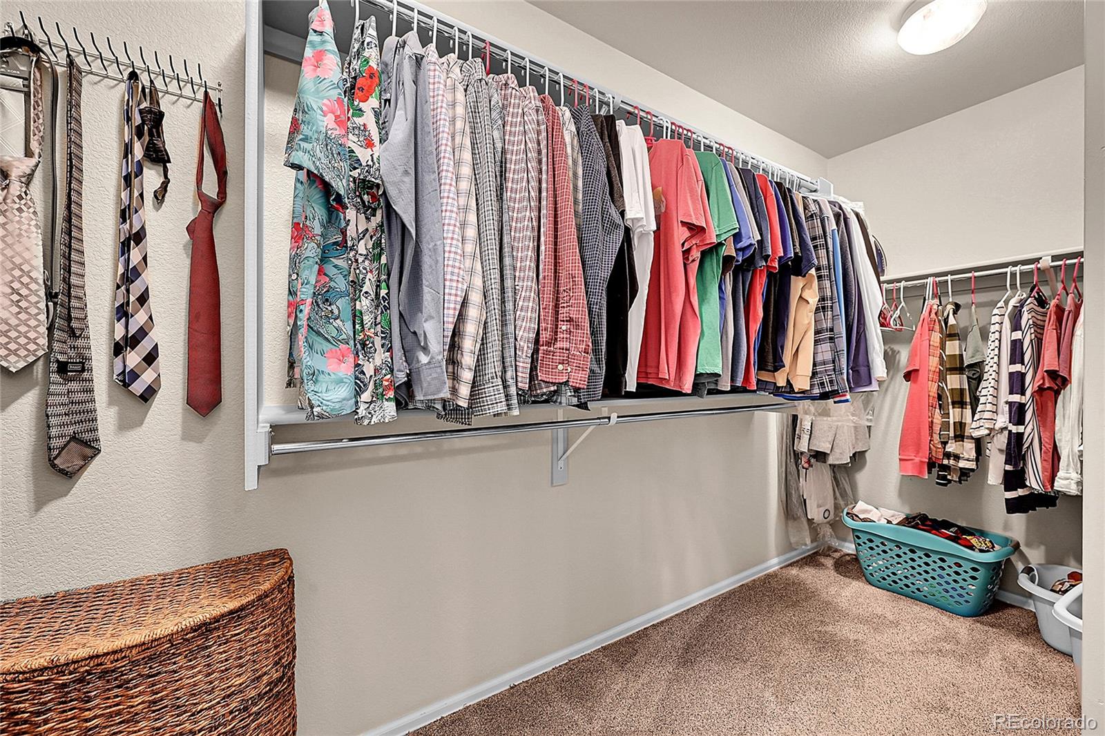 MLS Image #18 for 514  coyote willow drive,colorado springs, Colorado