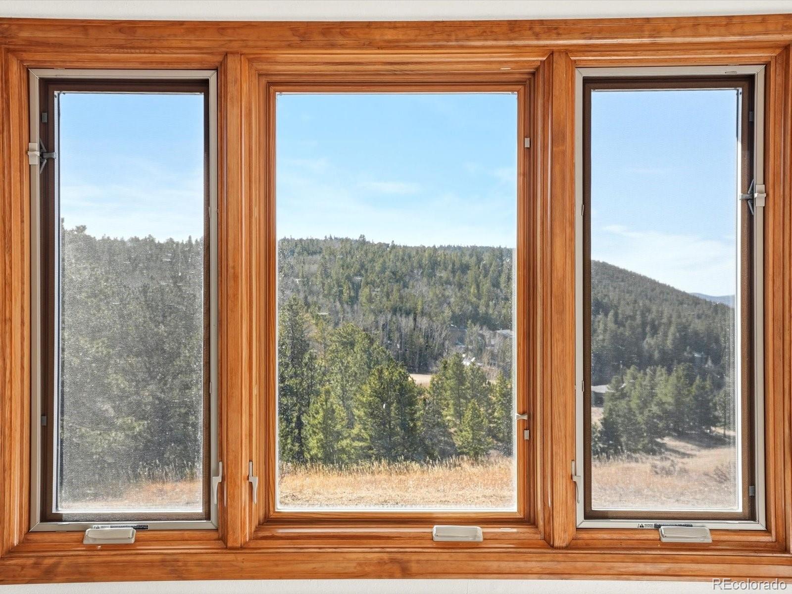 MLS Image #27 for 2979  coyote circle,black hawk, Colorado