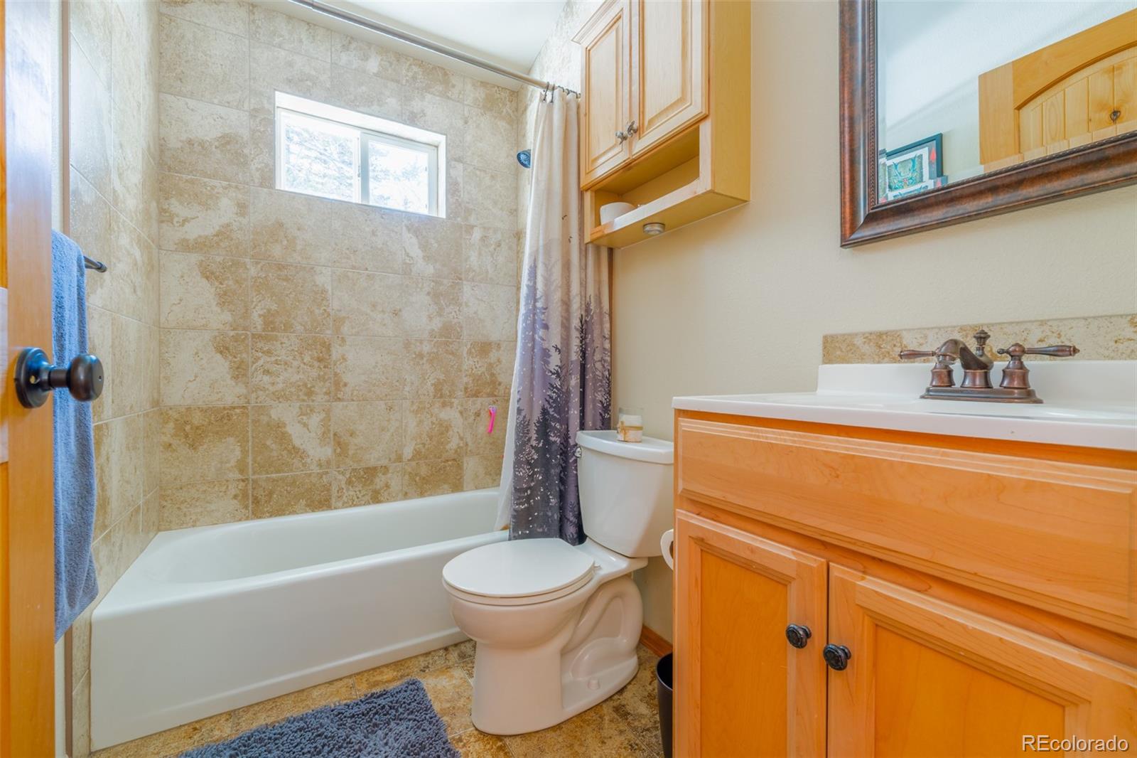 MLS Image #14 for 182  rachaels place,alma, Colorado