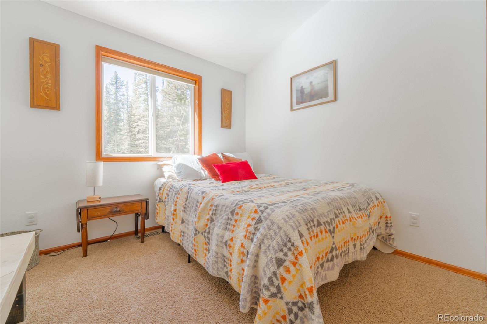 MLS Image #15 for 182  rachaels place,alma, Colorado