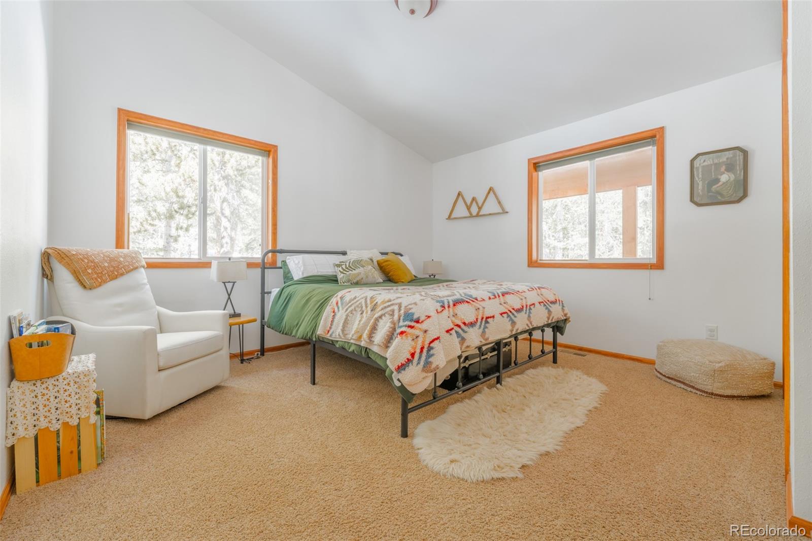 MLS Image #18 for 182  rachaels place,alma, Colorado