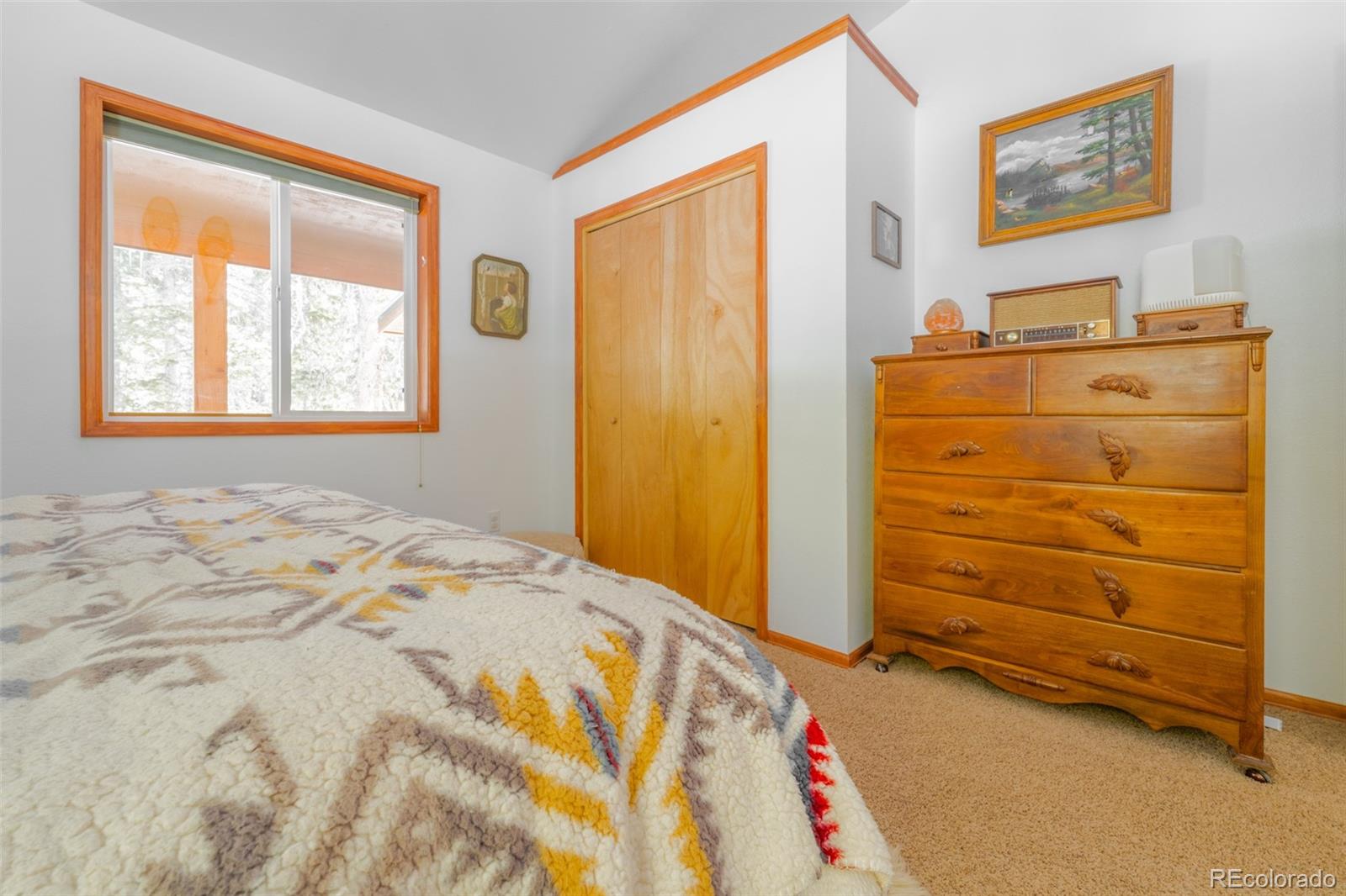 MLS Image #19 for 182  rachaels place,alma, Colorado