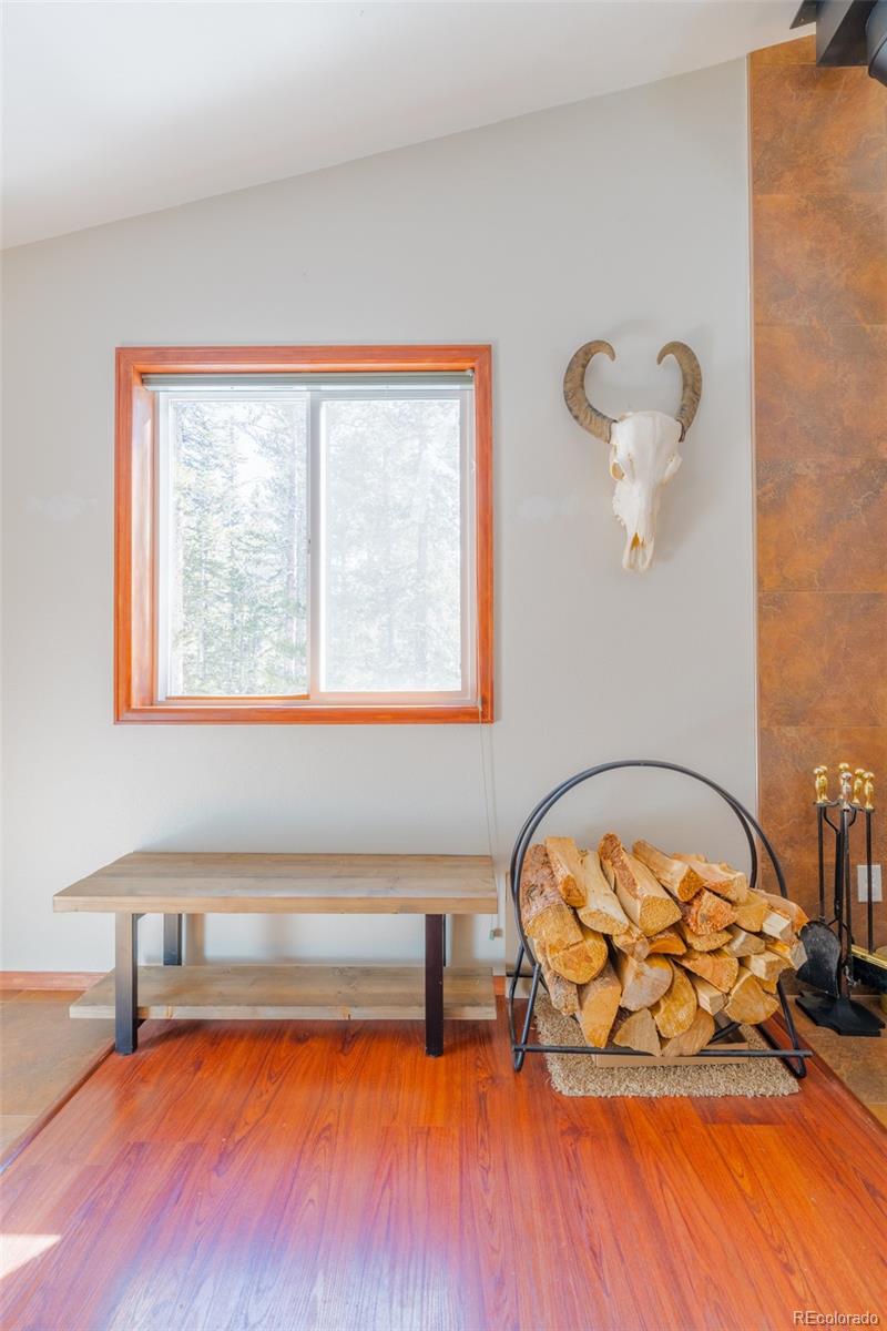 MLS Image #28 for 182  rachaels place,alma, Colorado