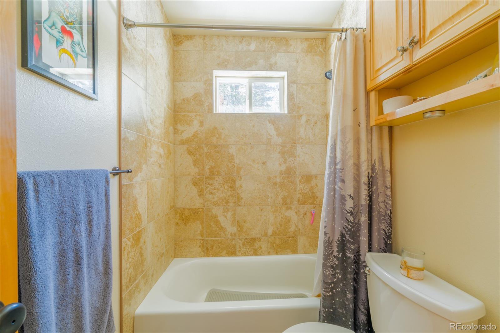 MLS Image #34 for 182  rachaels place,alma, Colorado