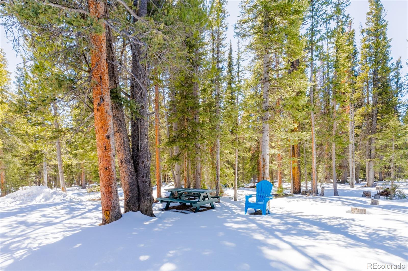 MLS Image #39 for 182  rachaels place,alma, Colorado