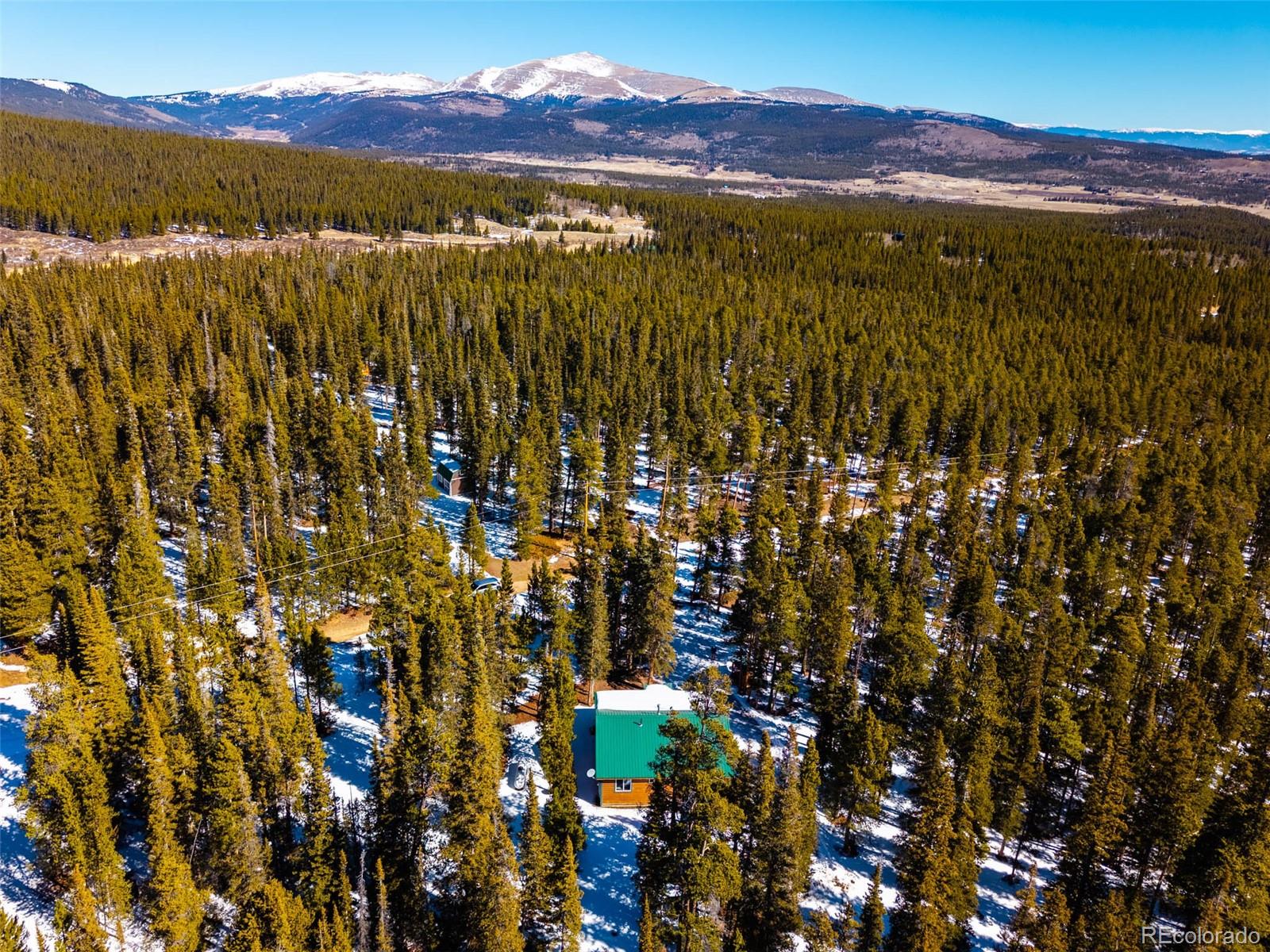 MLS Image #4 for 182  rachaels place,alma, Colorado