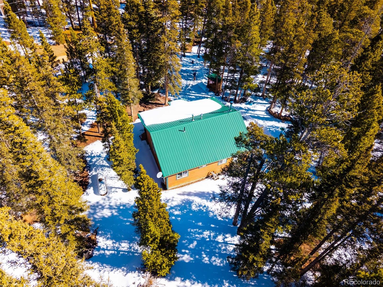 MLS Image #5 for 182  rachaels place,alma, Colorado