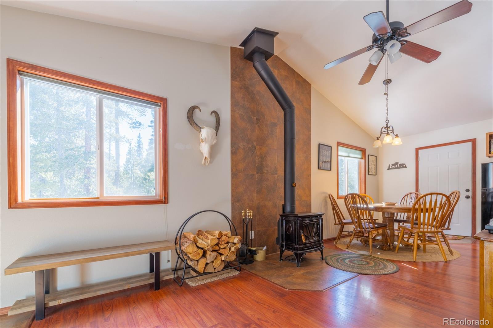MLS Image #8 for 182  rachaels place,alma, Colorado