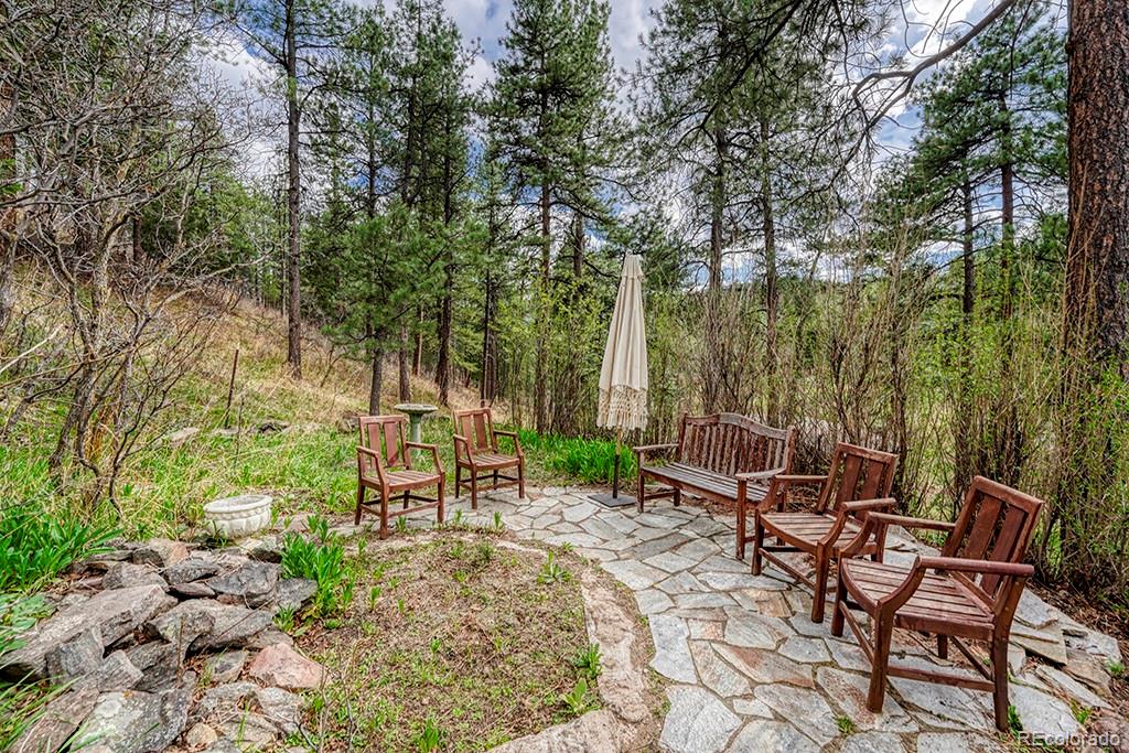 MLS Image #14 for 9088 s murphy gulch road,littleton, Colorado