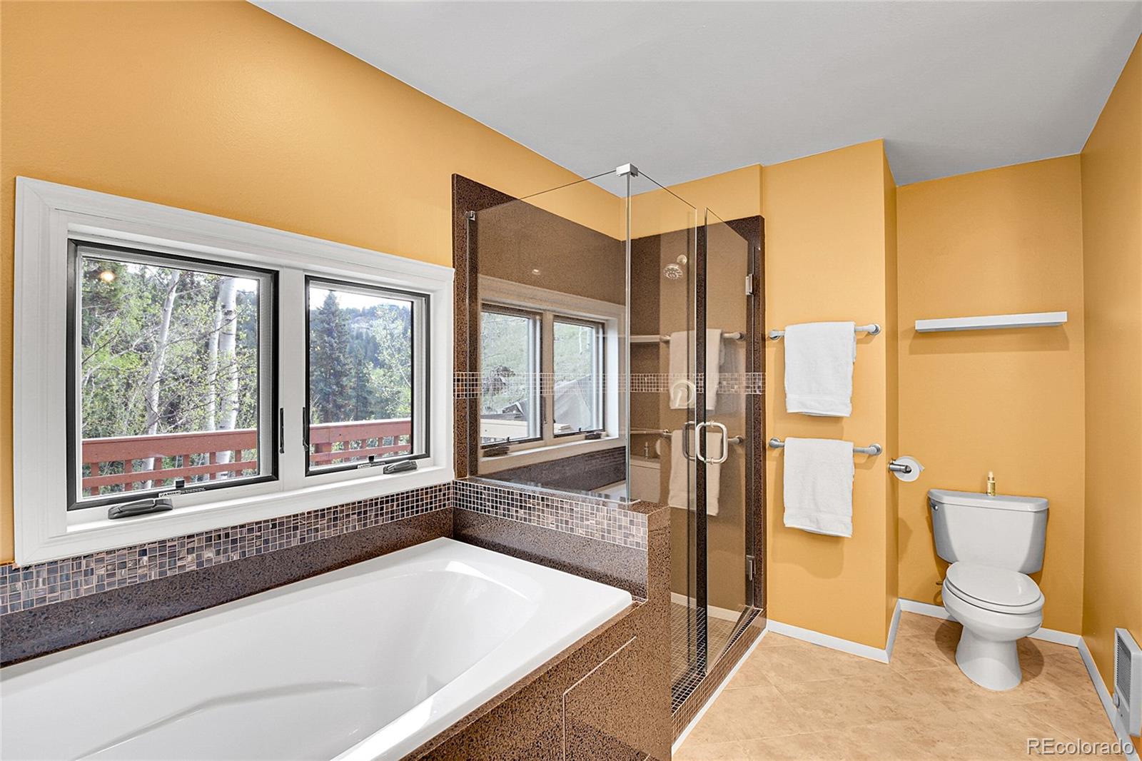 MLS Image #14 for 30382  marys drive,conifer, Colorado