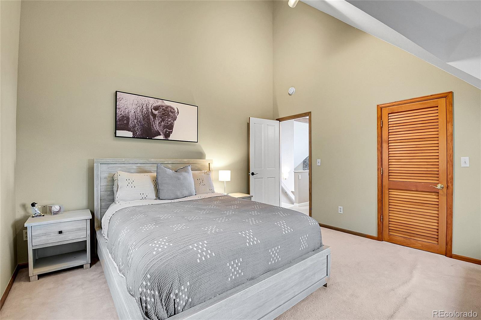 MLS Image #21 for 30382  marys drive,conifer, Colorado