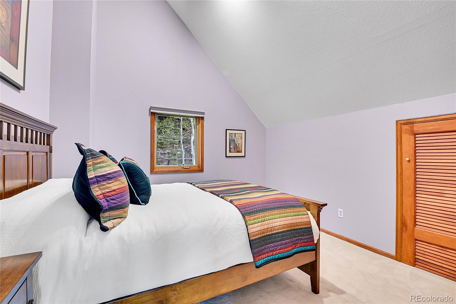 MLS Image #23 for 30382  marys drive,conifer, Colorado