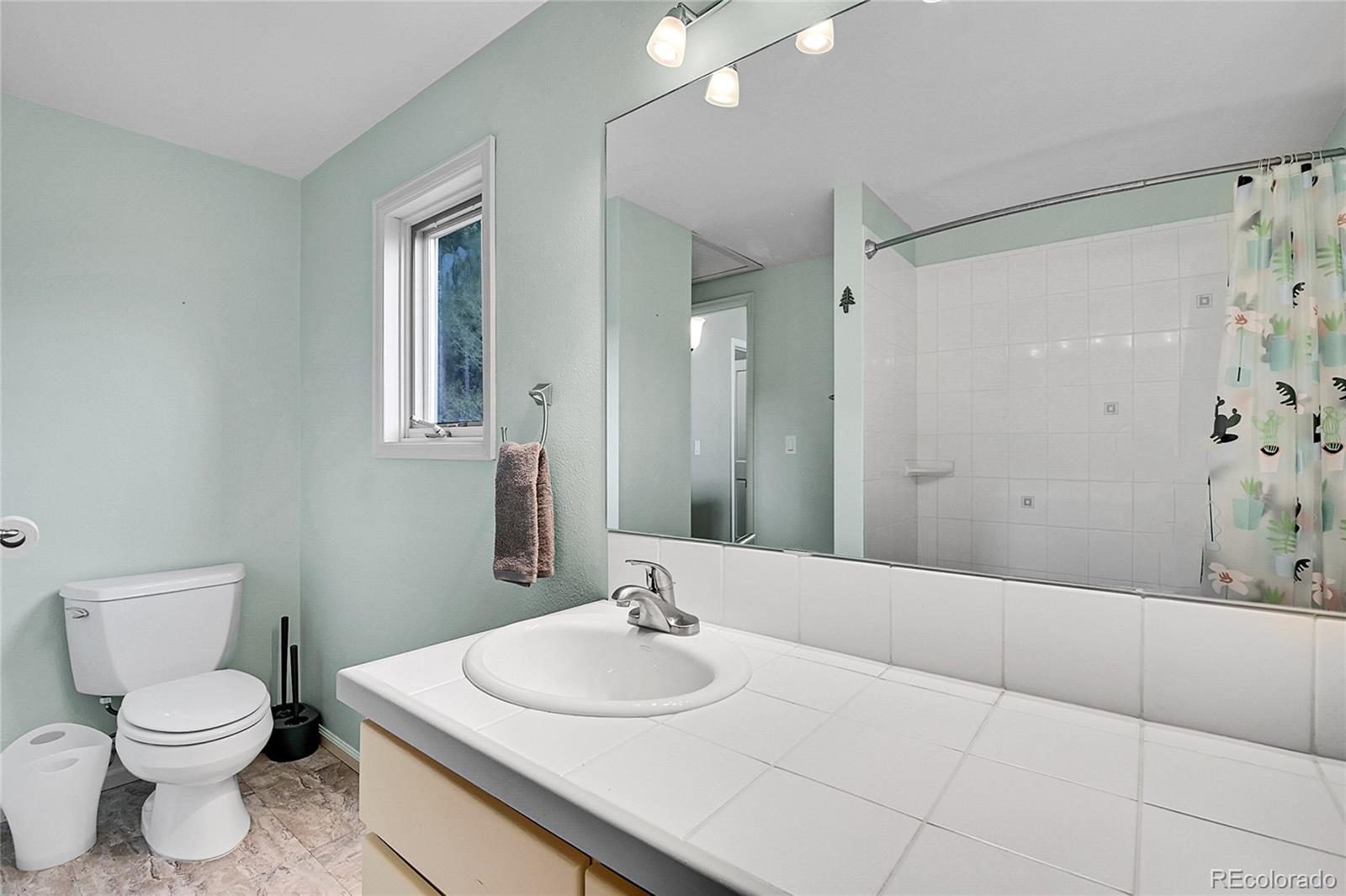 MLS Image #24 for 30382  marys drive,conifer, Colorado