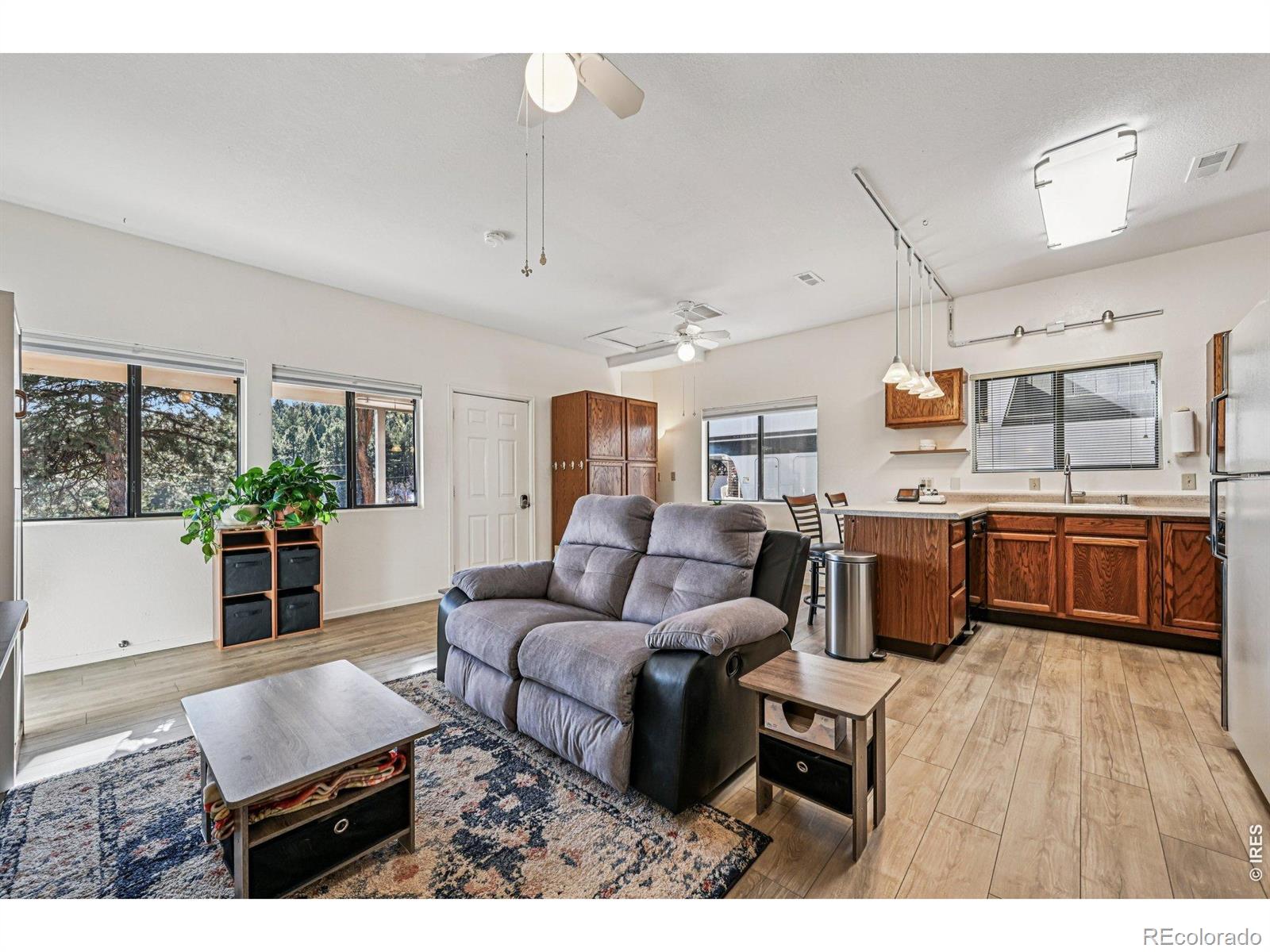MLS Image #36 for    ,, Colorado