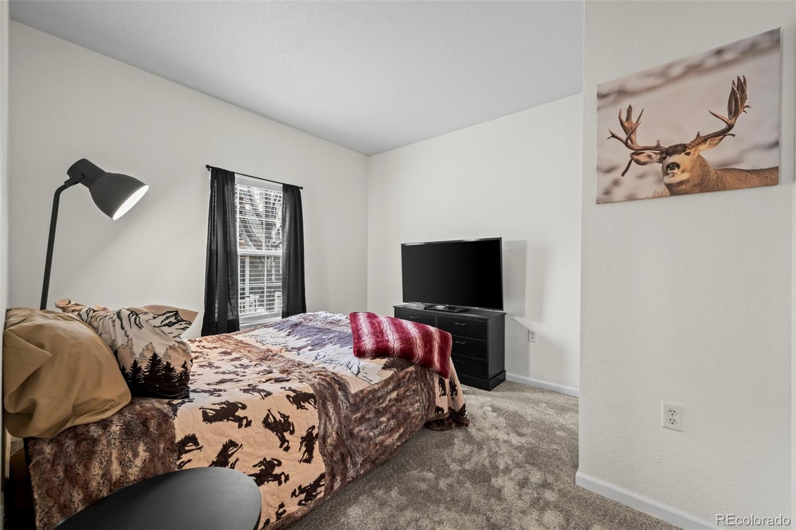 MLS Image #12 for 1498  red cliff way,castle rock, Colorado
