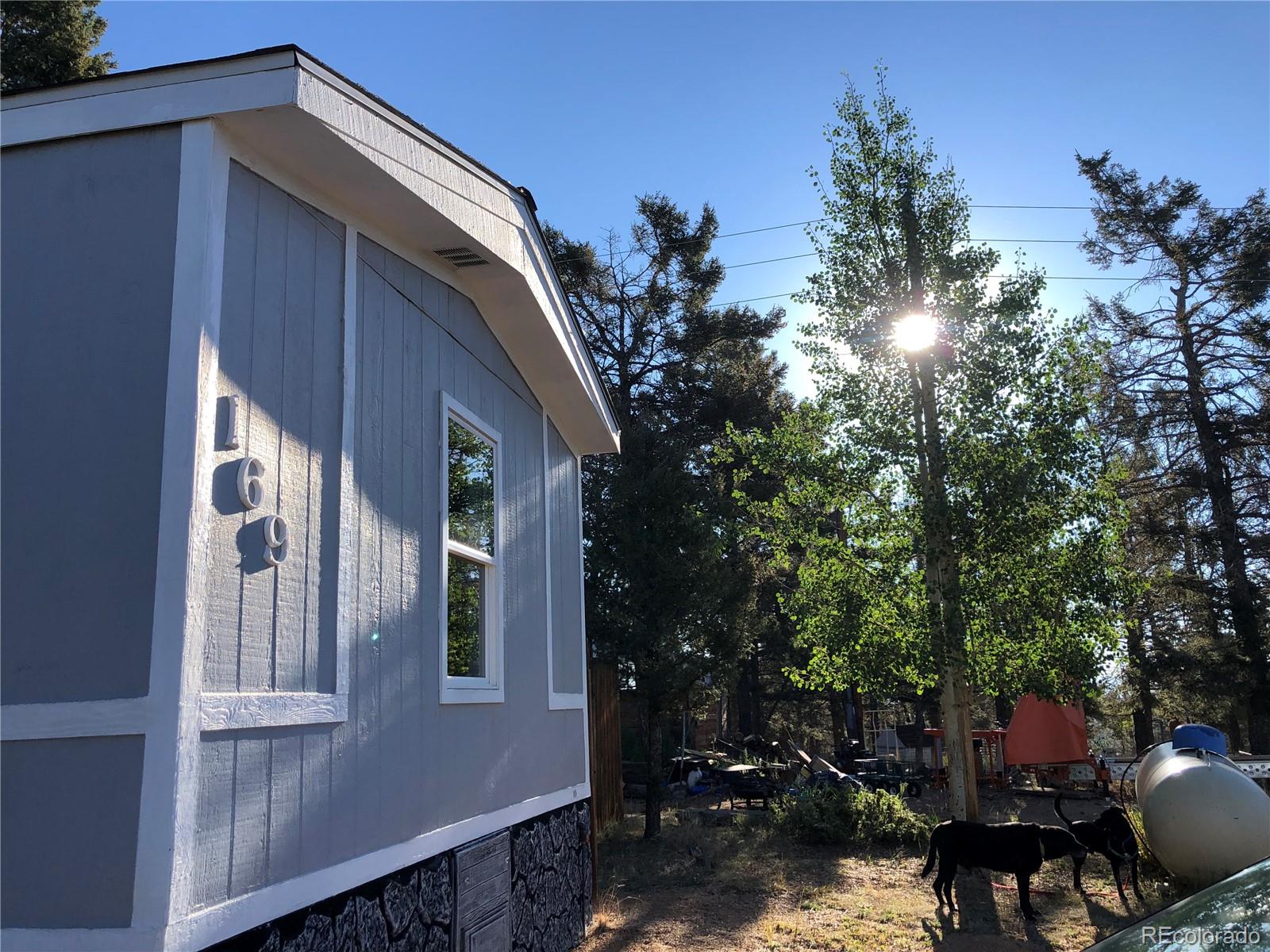 MLS Image #1 for 169  daisy street,woodland park, Colorado