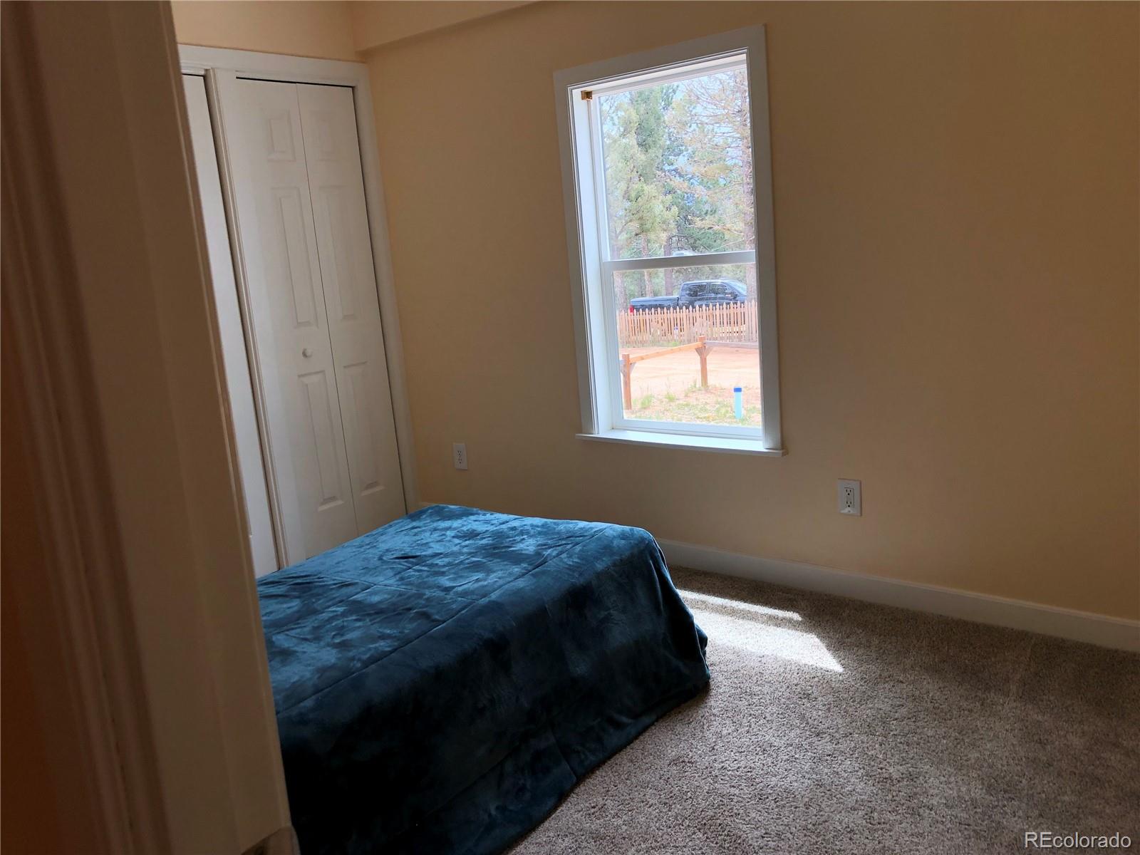 MLS Image #18 for 169  daisy street,woodland park, Colorado