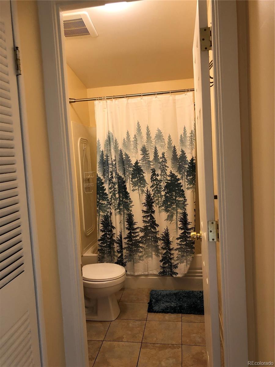 MLS Image #20 for 169  daisy street,woodland park, Colorado